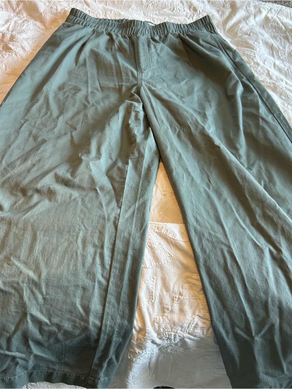 LOFT Wide-Leg Linen Pants in Sage Green - Picture 2 of 3
